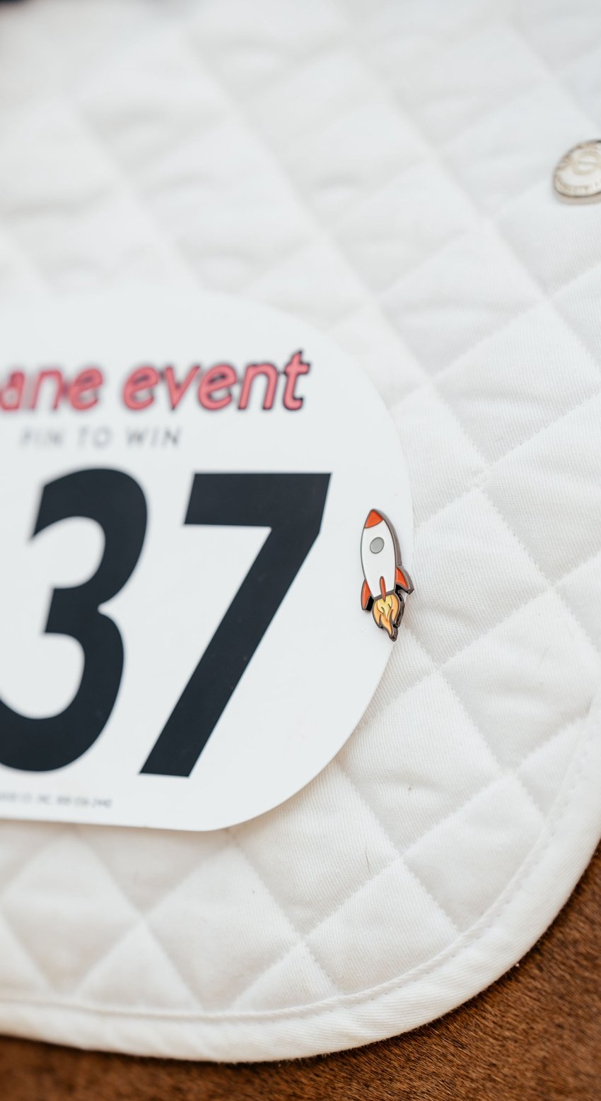 Mane Event Number Pins