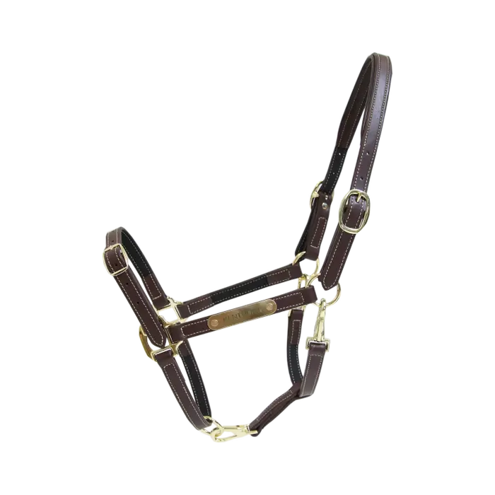 Kentucky Horsewear Leather Halter Flexible