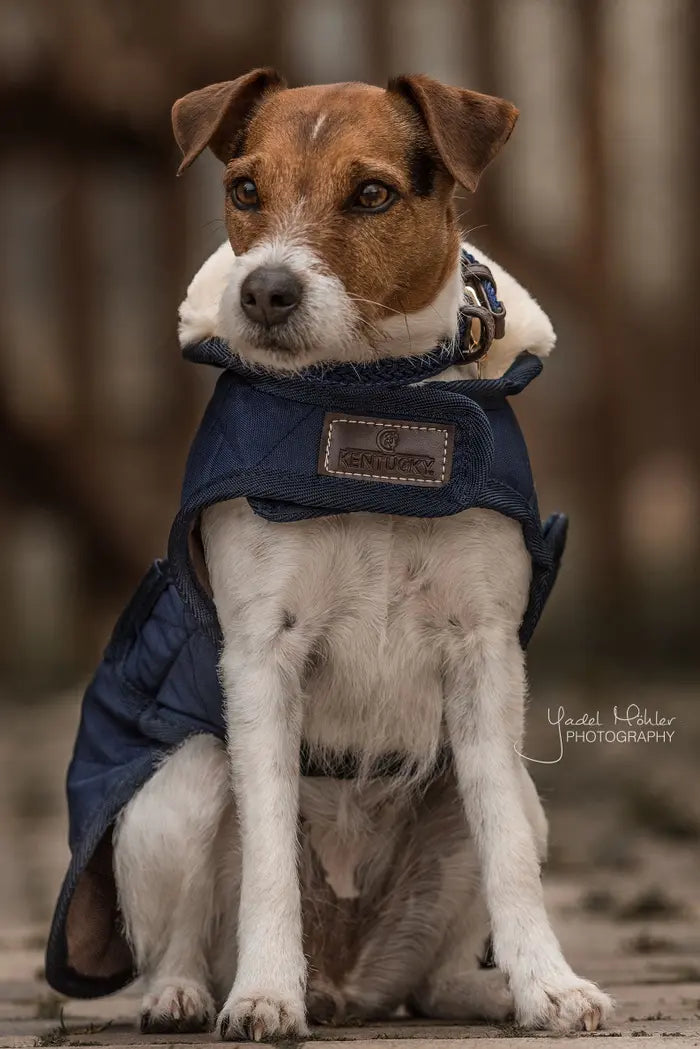 Kentucky Horsewear Dog Coat Original