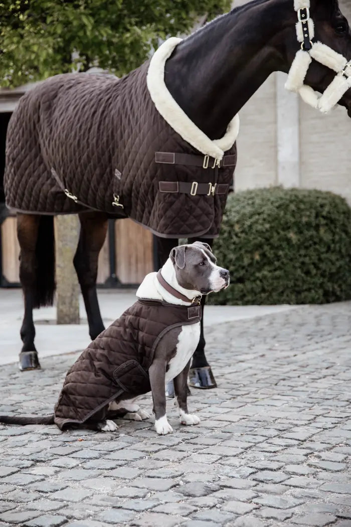 Kentucky Horsewear Dog Coat Original