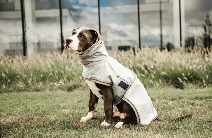 Kentucky Horsewear Dog Rain Coat