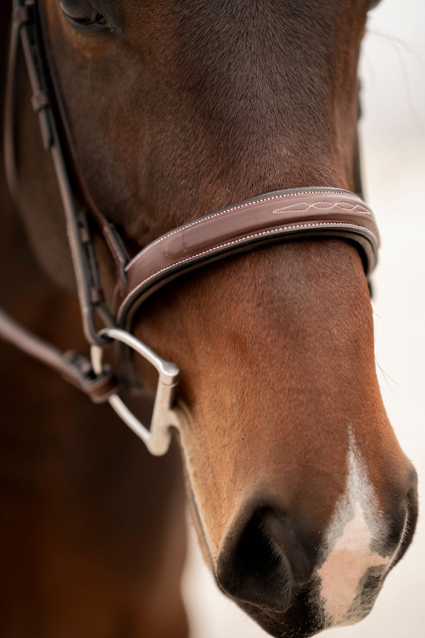 Red Barn Tryon Bridle