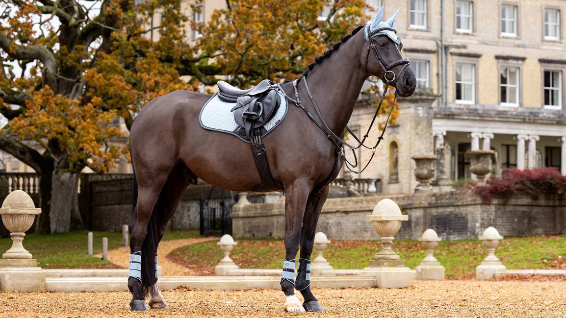 LeMieux Suede GP Square Saddle Pad