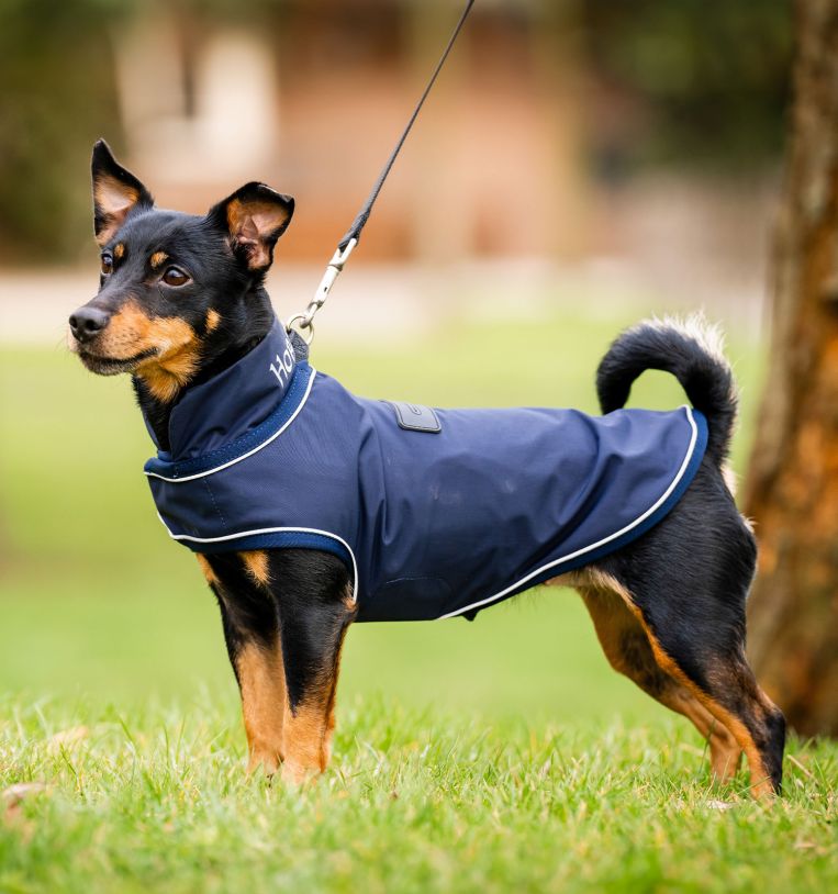 Horseware Signature Dog Rain Coat(no fill)