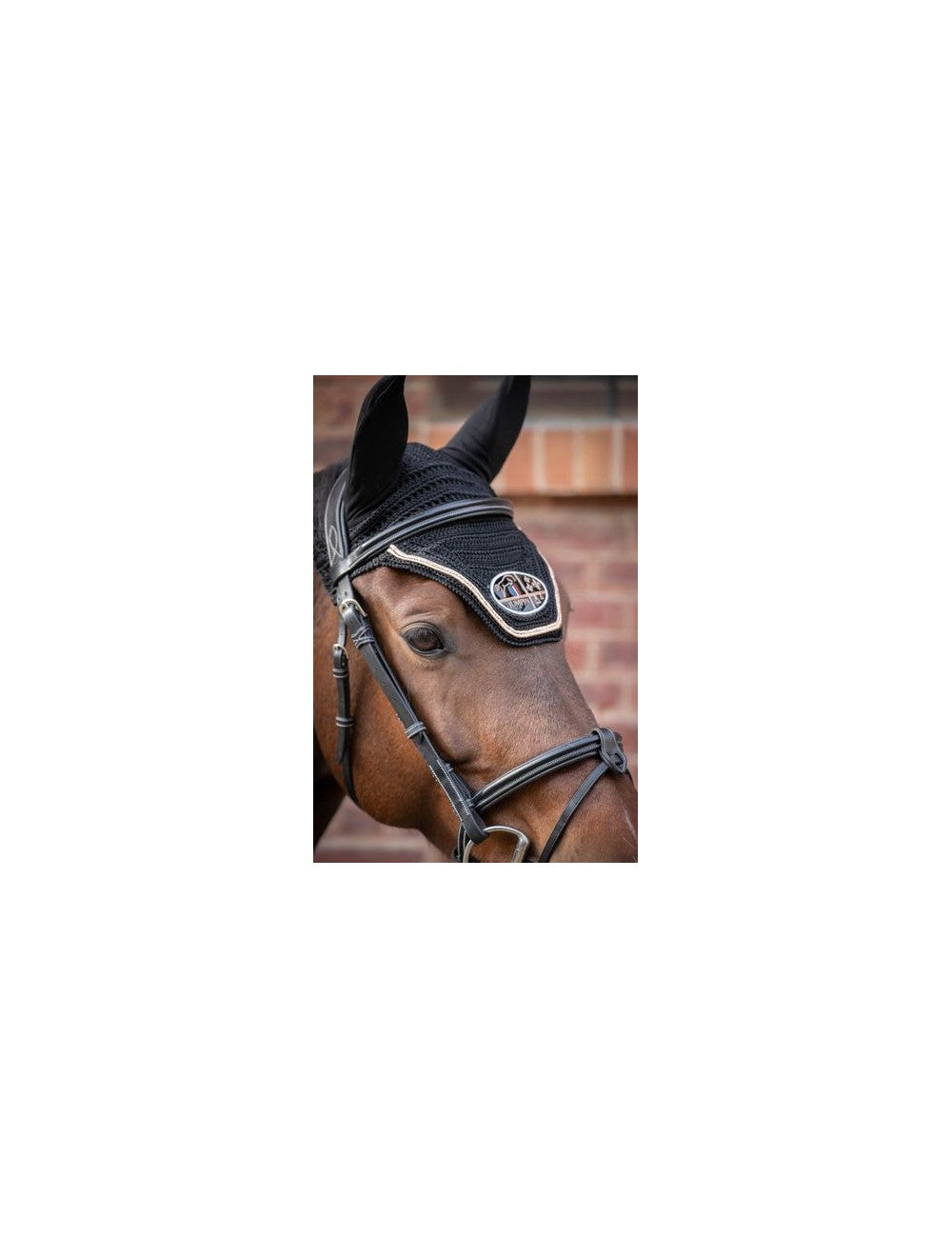 Jump'In - Week Tuesday Bridle with reins