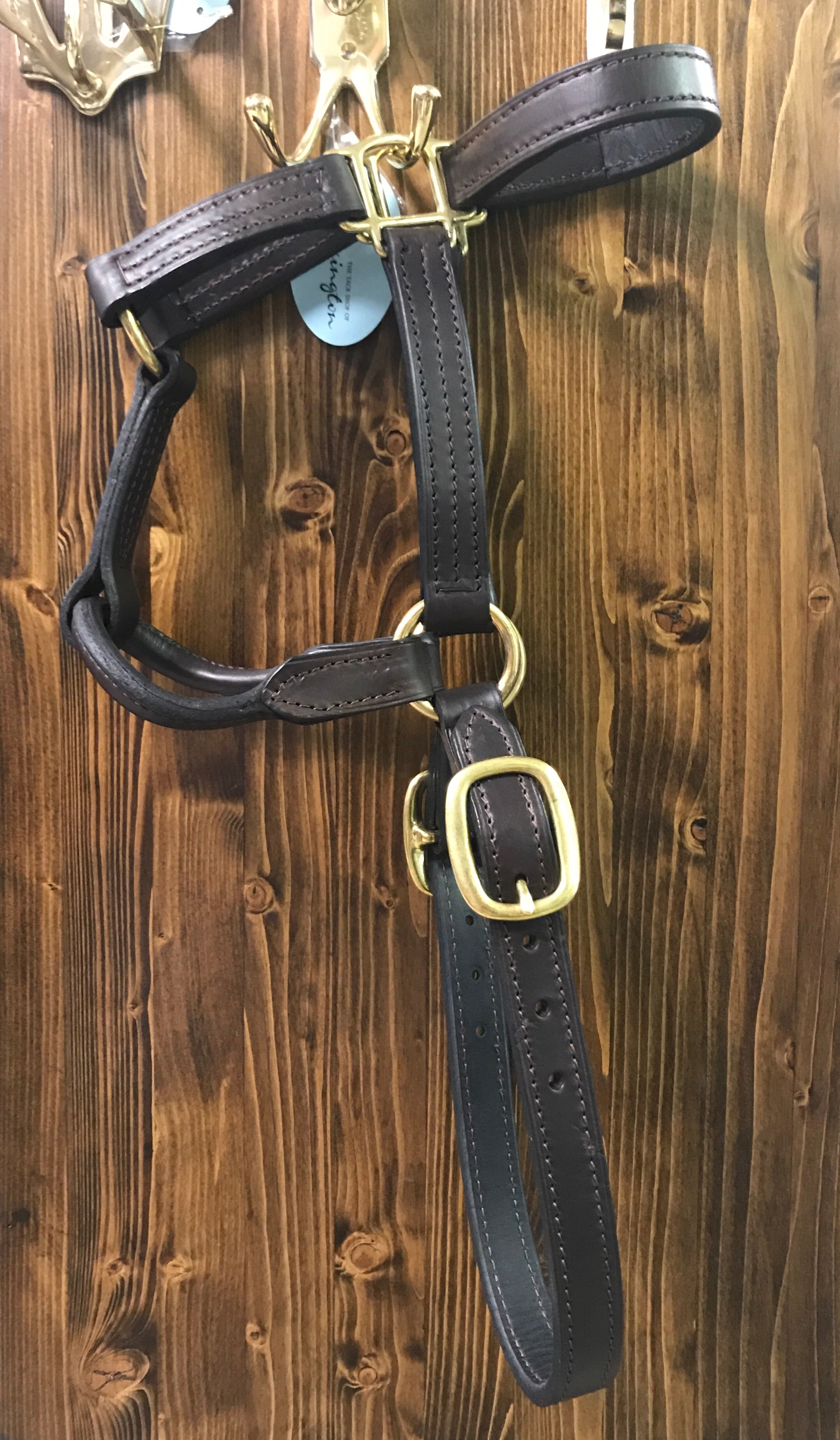 Cotton and Leather Halter With Throatlatch Clip by RF Tack 